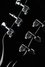 Rickenbacker 330/6 , Jetglo: Headstock - Rear