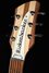 Rickenbacker 330/6 , Mapleglo: Headstock