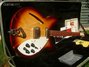 Rickenbacker 330/6 , Walnut Burst: Close up - Free