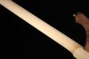 Rickenbacker 4003/4 , Natural Walnut: Neck - Rear