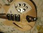 Rickenbacker 370/12 , Mapleglo: Free image