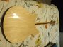 Rickenbacker 370/12 , Mapleglo: Full Instrument - Rear