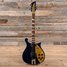 Rickenbacker 660/6 , Midnightblue: Full Instrument - Front