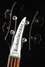 Apr 2021 Rickenbacker 4003/4 S, Jetglo: Headstock