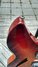 Rickenbacker 330/12 , Fireglo: Free image