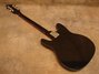 Rickenbacker 430/6 , Jetglo: Full Instrument - Rear
