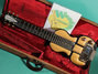 Rickenbacker BD/6 Bronson, Brown: Full Instrument - Front