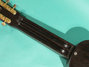 Rickenbacker BD/6 Bronson, Brown: Neck - Rear