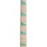 Rickenbacker 4003/4 AC Al Cisneros model, Natural Walnut: Neck - Front