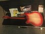 Rickenbacker 370/12 VP, Fireglo: Full Instrument - Rear