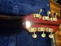 Rickenbacker 330/6 , Burgundy: Headstock - Rear