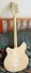 Rickenbacker 370/12 , Mapleglo: Full Instrument - Rear