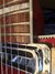Rickenbacker 660/6 Mod, Ruby: Free image