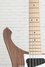 Rickenbacker 4003/5 S, Natural Walnut: Neck - Front