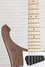 Rickenbacker 4003/5 S, Natural Walnut: Neck - Front