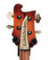 Rickenbacker 4001/4 FL, Fireglo: Headstock