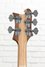 Rickenbacker 4003/5 S, Mapleglo: Headstock - Rear