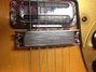 Rickenbacker 365/6 Capri, Fireglo: Close up - Free2