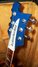Rickenbacker 481/6 Slant Fret, Azureglo: Headstock