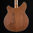 Oct 2014 Rickenbacker 360/12 , Natural Walnut: Body - Rear