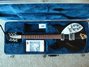 Rickenbacker 330/12 , Jetglo: Full Instrument - Front