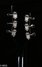 Rickenbacker 660/6 , Jetglo: Headstock - Rear