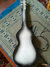 Rickenbacker 59/6 LapSteel, Gray Sunburst: Full Instrument - Rear