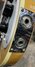 Rickenbacker 4001/4 , Mapleglo: Close up - Free