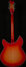 Rickenbacker 360/12 C63, Fireglo: Full Instrument - Rear