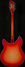 Rickenbacker 360/12 C63, Fireglo: Full Instrument - Rear