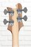 Rickenbacker 4003/4 , Natural Walnut: Headstock - Rear