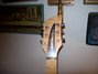 Rickenbacker 650/6 Atlantis, Turquoise: Headstock