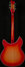 Rickenbacker 360/12 C63, Fireglo: Full Instrument - Rear