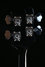 Rickenbacker 4003/4 , Jetglo: Headstock - Rear