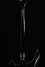 Rickenbacker 4003/4 , Jetglo: Neck - Rear