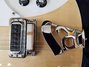 Rickenbacker 620/12 , Mapleglo: Close up - Free2
