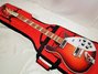 Rickenbacker 620/6 , Amber Fireglo: Full Instrument - Front