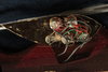 Rickenbacker 650/6 Excalibur, Vermillion: Free image