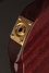 Rickenbacker 650/6 Excalibur, Vermillion: Close up - Free