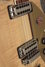 Rickenbacker 660/6 , Mapleglo: Free image