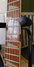 Rickenbacker 360/6 , Jetglo: Neck - Front