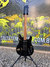 Rickenbacker 230/6 Hamburg, Jetglo: Full Instrument - Front