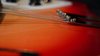 Rickenbacker 1993/6 Plus, Fireglo: Close up - Free