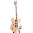 Rickenbacker 1993/12 Plus, Mapleglo: Full Instrument - Front