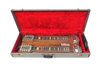 Rickenbacker DE16/2 X 8 , Dark Natural: Free image2