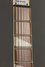 Rickenbacker 360/6 , Mapleglo: Neck - Front
