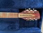 Rickenbacker 660/12 TP, Fireglo: Headstock