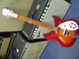 Rickenbacker 330/6 , Amber Fireglo: Full Instrument - Front