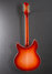 Rickenbacker 360/12 C63, Fireglo: Full Instrument - Rear