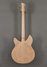 Rickenbacker 1993/12 Plus, Mapleglo: Full Instrument - Rear